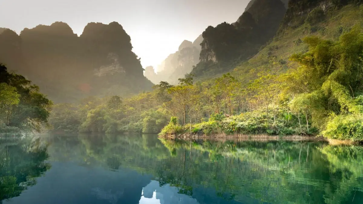 高端高端高性能